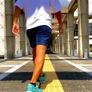 マチャの画像