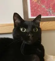 ゆきの画像