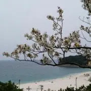 おりーぶ(プロフご参照を)の画像