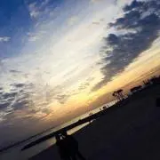 あいの画像