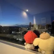 こはる
