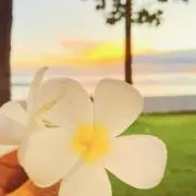 alooohaの画像