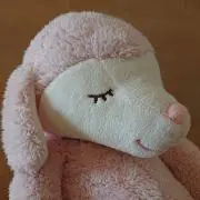 takaの画像