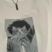 ねこの画像