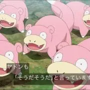 たまたまるーの画像