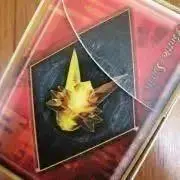 ...は...（プロフィール必読）の画像