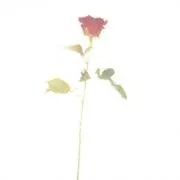☺︎