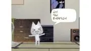 とまとねこ