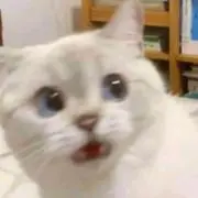 いく ❥ ギャンブルの副産物の画像