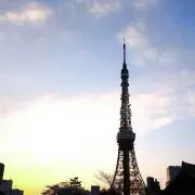 うさはなの画像