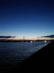 五郎丸の画像