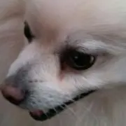 ソラ