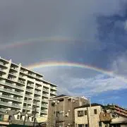ジャッキーの画像