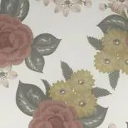 あぴ