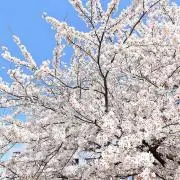 りい。まとめ買い割引‼️詳細は紹介文への画像