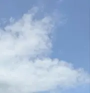 Ioriの画像