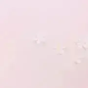 くすのきの画像