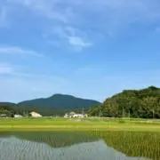 N.Fの画像