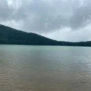 Oyamaの画像