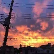 おむかえでごんす（即購入OK）の画像