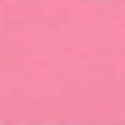 あみの画像