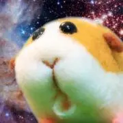たぴおか（購入前に自己紹介確認ください）の画像