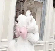 みももの画像