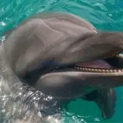 marの画像