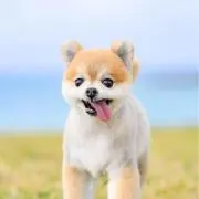 愛ちゃん