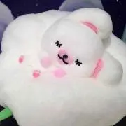 Image of もち　※6月中旬まで値下げ相談受付中