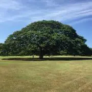 ザイテックの画像