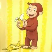 とらの画像