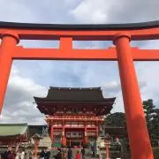 アモリン⭐の画像