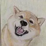 プリリンの画像