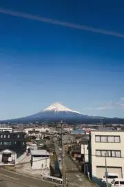 京楓の画像
