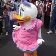 ＊maru＊の画像