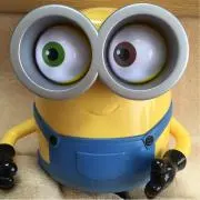 ごんちゃんの画像