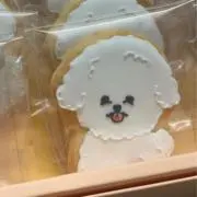 ♡ 次回発送予定 6/16~18の画像