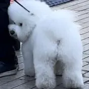 みゆ