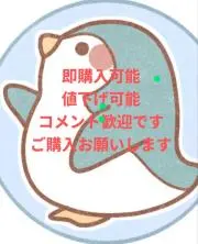 ペンタ即日発送の画像