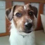 今井健一の画像