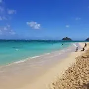 ☆ひまわり☆の画像