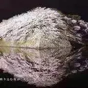 ヒロの画像