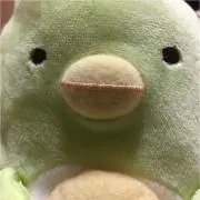 白ペンギン　プロフも見てねの画像