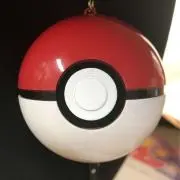 ポケ太