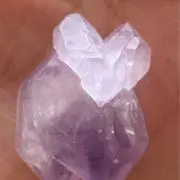みゆゆの画像
