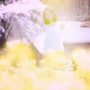 hidekameの画像
