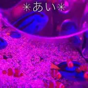 あい!プロフ必読!基本24時間以内発送の画像