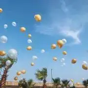 コアの画像