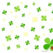 【UJU】送料無料 即購入OK 即日発送の画像